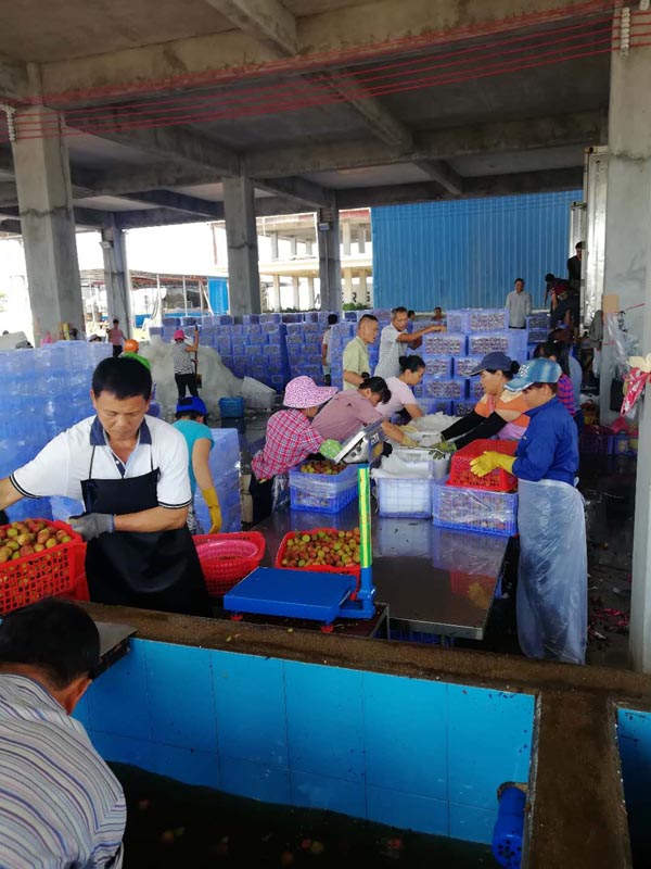 梁莹在公车被灌满JING液