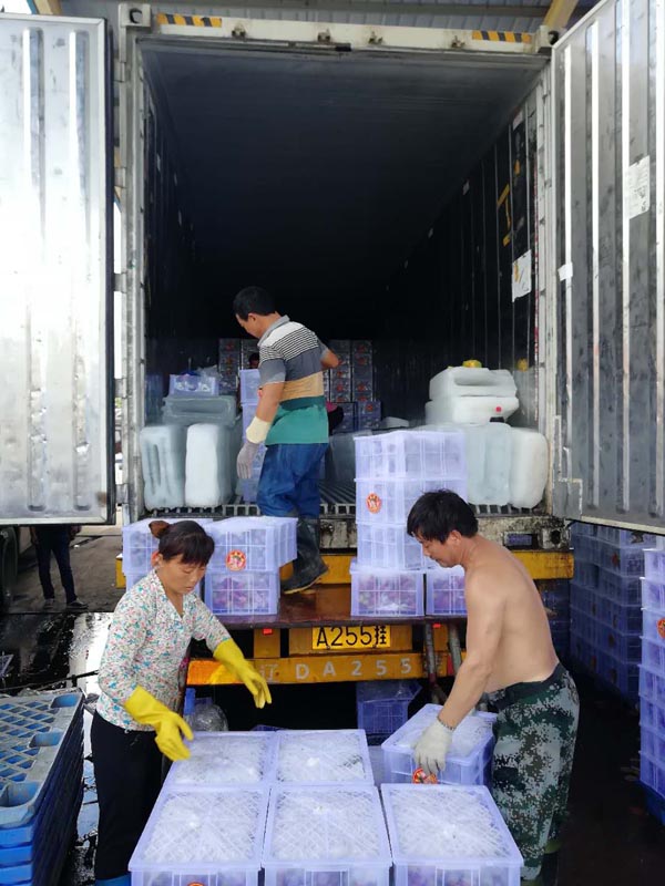 梁莹在公车被灌满JING液