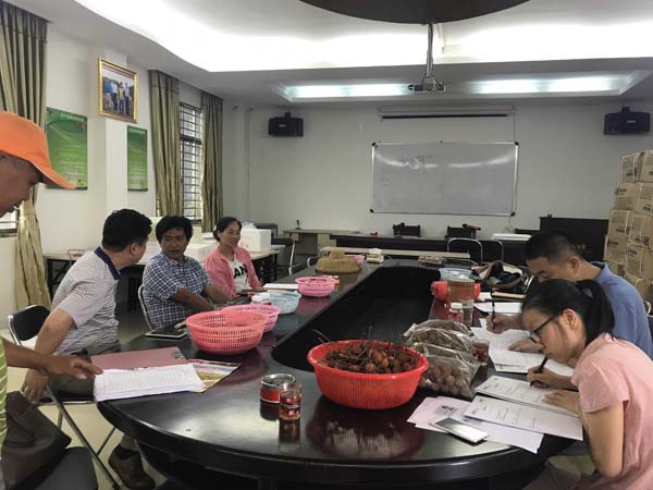 梁莹在公车被灌满JING液