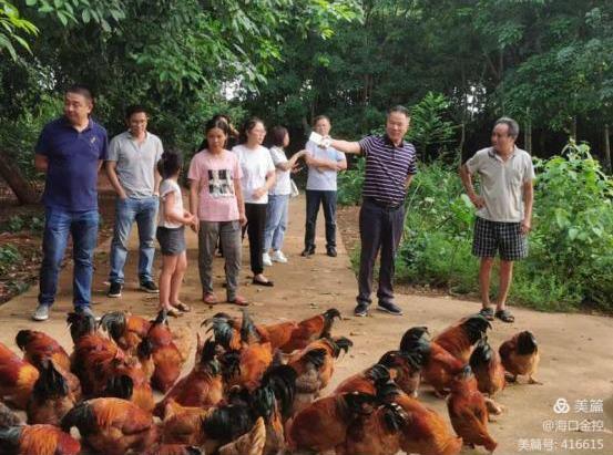 梁莹在公车被灌满JING液