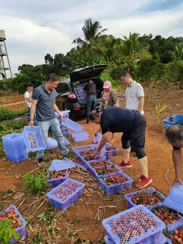 梁莹在公车被灌满JING液