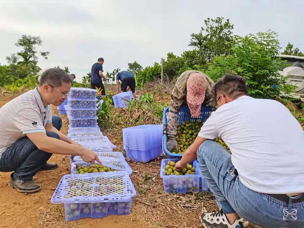 梁莹在公车被灌满JING液