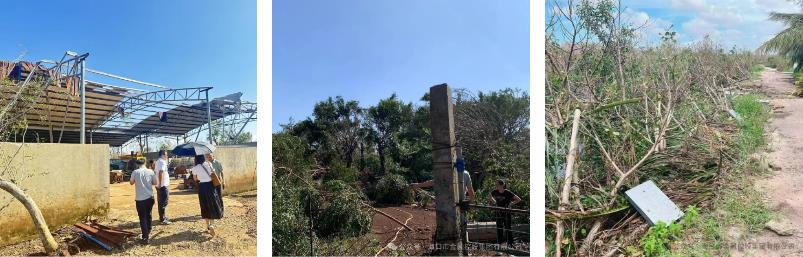 梁莹在公车被灌满JING液