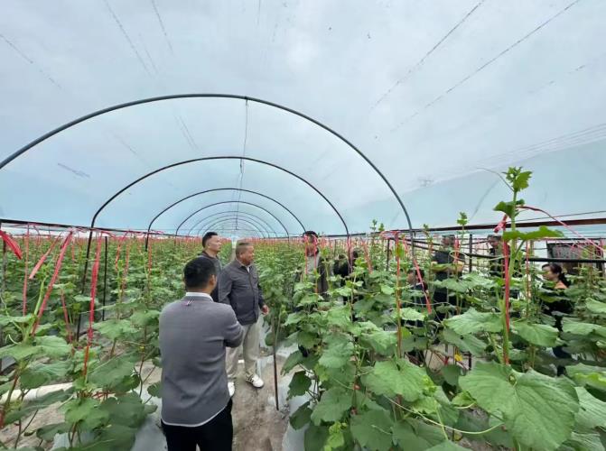 梁莹在公车被灌满JING液